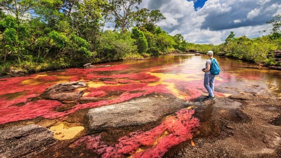 caño cristales meta macarena viajes linearcol ecoturismo
